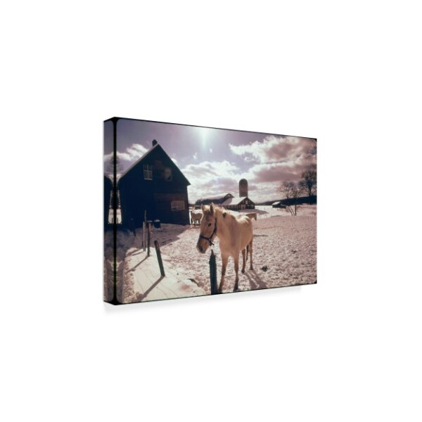 American Eyes 'Family Farm' Canvas Art,30x47